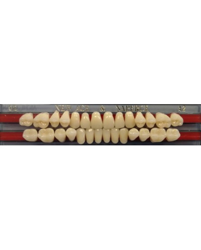 YM. NEW ACE FULL SET - AKRYLOWE ZĘBY ...