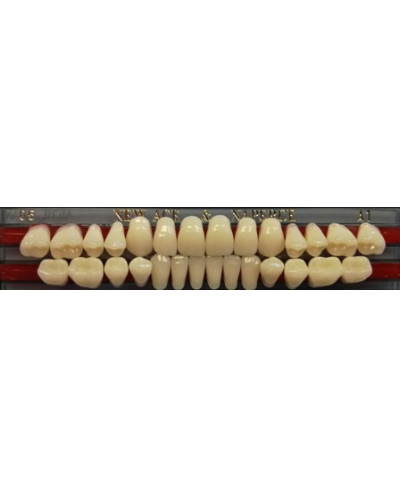 YM. NEW ACE FULL SET - AKRYLOWE ZĘBY ...