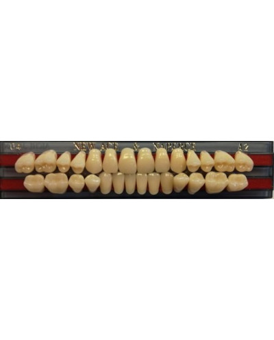 YM. NEW ACE FULL SET - AKRYLOWE ZĘBY ...