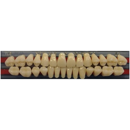 YM. NEW ACE FULL SET - AKRYLOWE ZĘBY ...