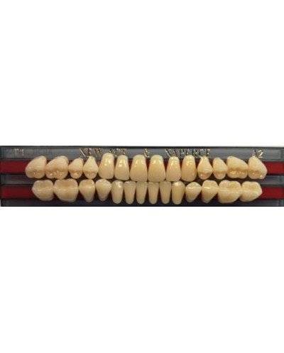 YM. NEW ACE FULL SET - AKRYLOWE ZĘBY ...