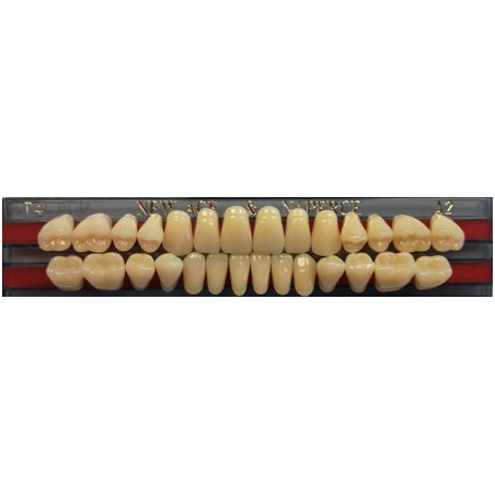 YM. NEW ACE FULL SET - AKRYLOWE ZĘBY ...