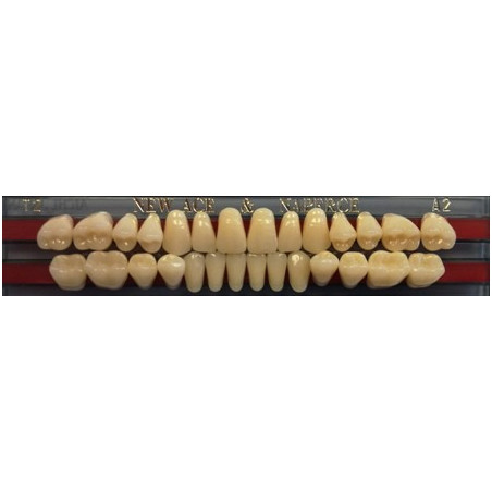 YM. NEW ACE FULL SET - AKRYLOWE ZĘBY ...