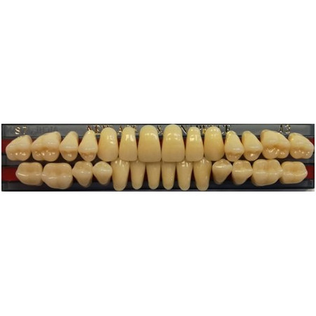 YM. NEW ACE FULL SET - AKRYLOWE ZĘBY ...