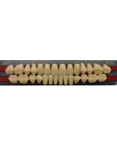 YM. NEW ACE FULL SET - AKRYLOWE ZĘBY ...