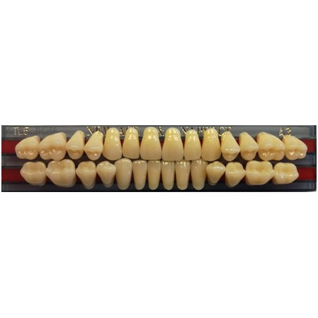 YM. NEW ACE FULL SET - AKRYLOWE ZĘBY ...