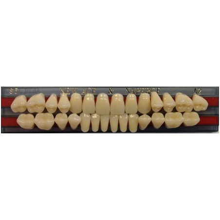 YM. NEW ACE FULL SET - AKRYLOWE ZĘBY ...