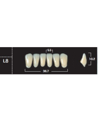 YM. NEW ACE ANTERIOR - AKRYLOWE ZĘBY ...