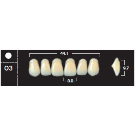 YM. NEW ACE ANTERIOR - AKRYLOWE ZĘBY ...