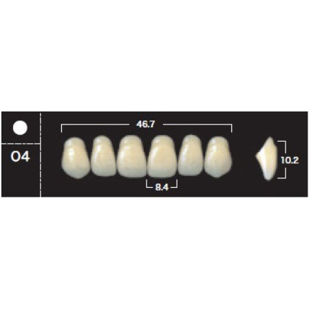 YM. NEW ACE ANTERIOR - AKRYLOWE ZĘBY ...