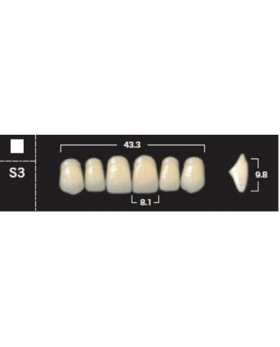 YM. NEW ACE ANTERIOR - AKRYLOWE ZĘBY ...
