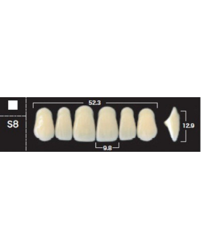 YM. NEW ACE ANTERIOR - AKRYLOWE ZĘBY ...