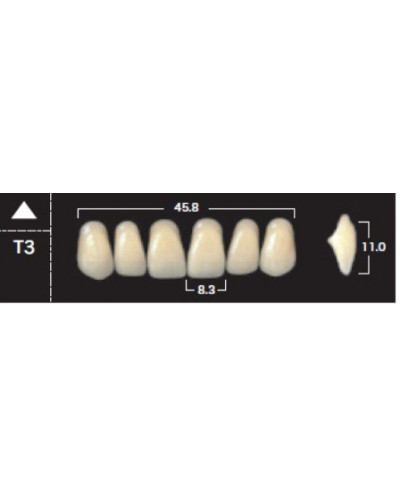 YM. NEW ACE ANTERIOR - AKRYLOWE ZĘBY ...