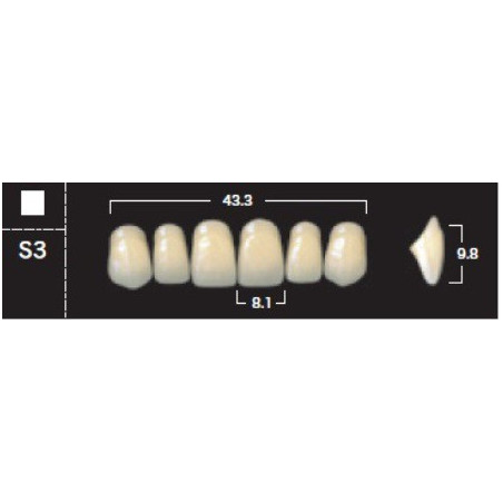 YM. NEW ACE ANTERIOR - AKRYLOWE ZĘBY ...
