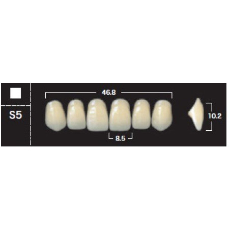 YM. NEW ACE ANTERIOR - AKRYLOWE ZĘBY ...