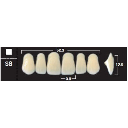 YM. NEW ACE ANTERIOR - AKRYLOWE ZĘBY ...