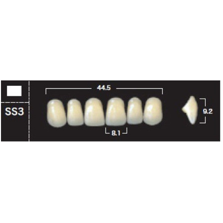 YM. NEW ACE ANTERIOR - AKRYLOWE ZĘBY ...