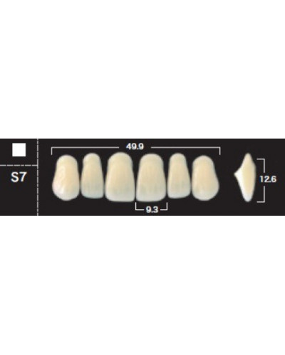 YM. NEW ACE ANTERIOR - AKRYLOWE ZĘBY ...