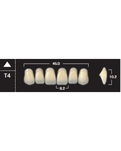 YM. NEW ACE ANTERIOR - AKRYLOWE ZĘBY ...