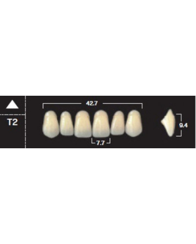 YM. NEW ACE ANTERIOR - AKRYLOWE ZĘBY ...