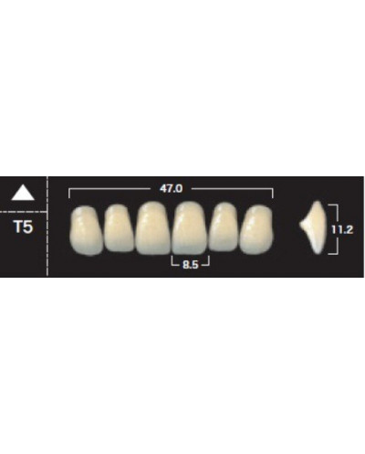 YM. NEW ACE ANTERIOR - AKRYLOWE ZĘBY ...