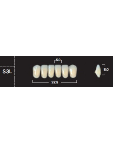 YM. NEW ACE ANTERIOR - AKRYLOWE ZĘBY ...