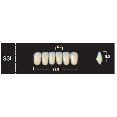 YM. NEW ACE ANTERIOR - AKRYLOWE ZĘBY ...