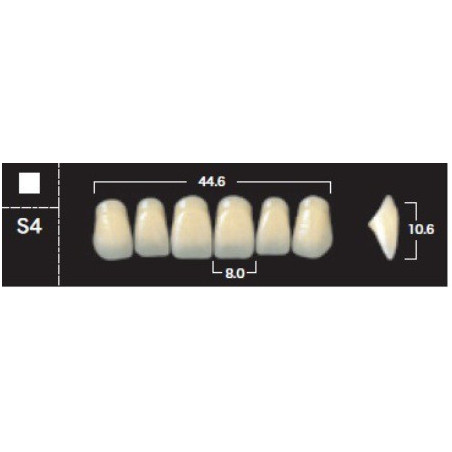 YM. NEW ACE ANTERIOR - AKRYLOWE ZĘBY ...