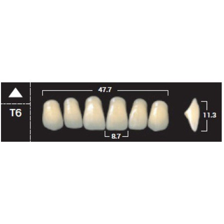 YM. NEW ACE ANTERIOR - AKRYLOWE ZĘBY ...