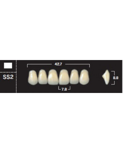 YM. NEW ACE ANTERIOR - AKRYLOWE ZĘBY ...