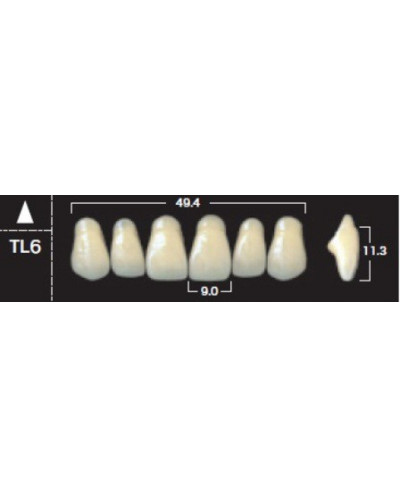 YM. NEW ACE ANTERIOR - AKRYLOWE ZĘBY ...