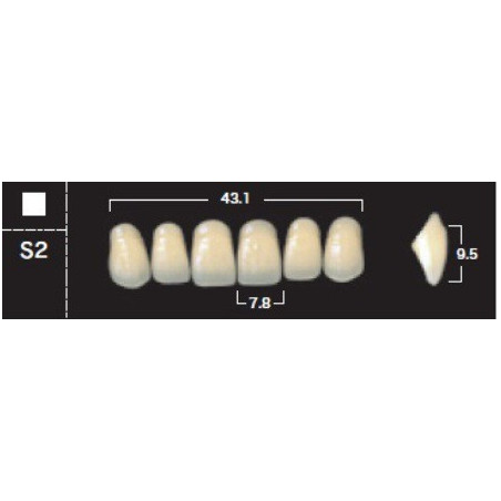 YM. NEW ACE ANTERIOR - AKRYLOWE ZĘBY ...