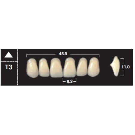 YM. NEW ACE ANTERIOR - AKRYLOWE ZĘBY ...