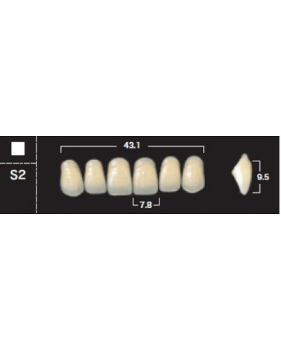 YM. NEW ACE ANTERIOR - AKRYLOWE ZĘBY ...