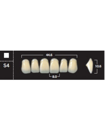 YM. NEW ACE ANTERIOR - AKRYLOWE ZĘBY ...