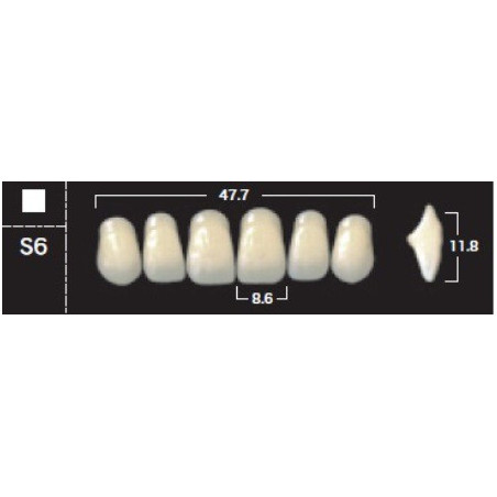 YM. NEW ACE ANTERIOR - AKRYLOWE ZĘBY ...