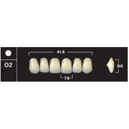 YM. NEW ACE ANTERIOR - AKRYLOWE ZĘBY ...