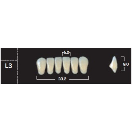 YM. NEW ACE ANTERIOR - AKRYLOWE ZĘBY ...