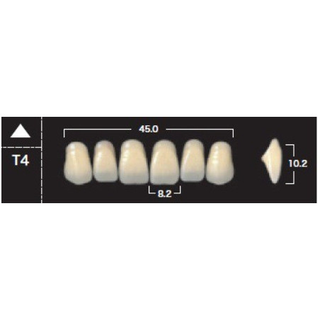 YM. NEW ACE ANTERIOR - AKRYLOWE ZĘBY ...