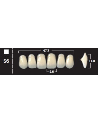 YM. NEW ACE ANTERIOR - AKRYLOWE ZĘBY ...