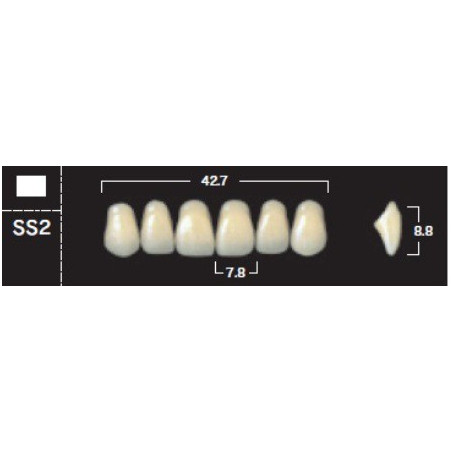 YM. NEW ACE ANTERIOR - AKRYLOWE ZĘBY ...