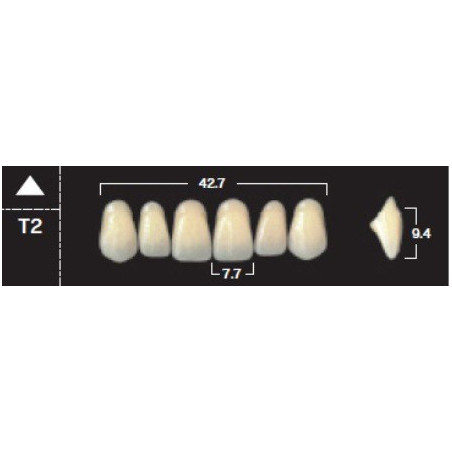 YM. NEW ACE ANTERIOR - AKRYLOWE ZĘBY ...