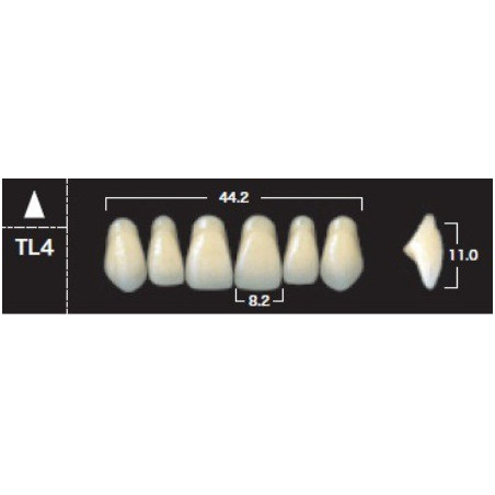 YM. NEW ACE ANTERIOR - AKRYLOWE ZĘBY ...