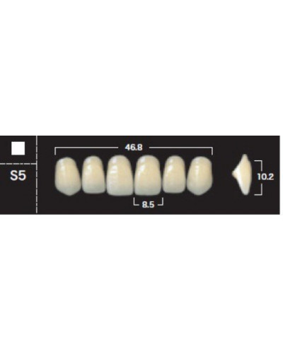 YM. NEW ACE ANTERIOR - AKRYLOWE ZĘBY ...