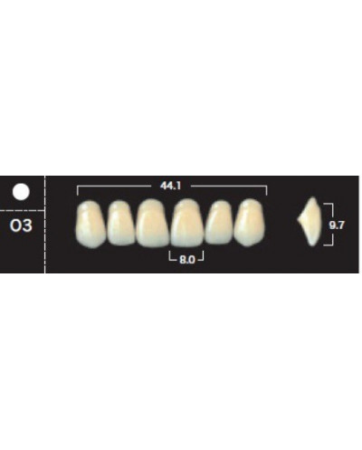 YM. NEW ACE ANTERIOR - AKRYLOWE ZĘBY ...
