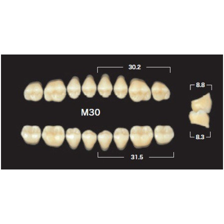 YM. NAPERCE POSTERIOR - AKRYLOWE ZĘBY...