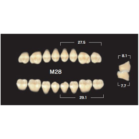 YM. NAPERCE POSTERIOR - AKRYLOWE ZĘBY...