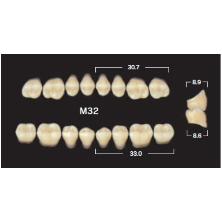 YM. NAPERCE POSTERIOR - AKRYLOWE ZĘBY...