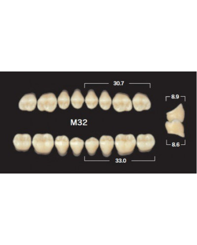 YM. NAPERCE POSTERIOR - AKRYLOWE ZĘBY...