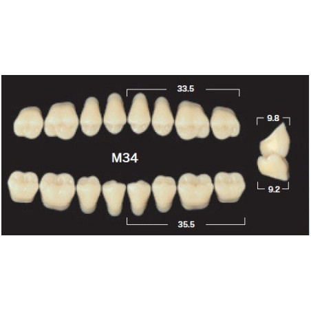 YM. NAPERCE POSTERIOR - AKRYLOWE ZĘBY...